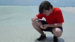 Duke TIP - The Field Studies Experience