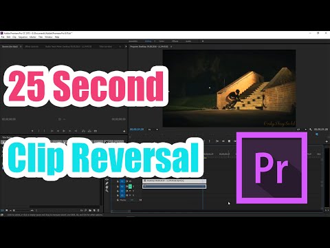 Premiere Pro Podcast Voice Tutorial
