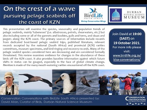 Conservation Conversations: David Allan - On the crest of a wave: KZN Pelagic Birding (19Oct21)