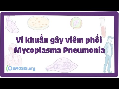 , title : 'Vi khuẩn gây viêm phổi Mycoplasma Pneumonia'