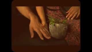 Копия видео ENGIN AKYUREK SOMEONE LOVES YOU