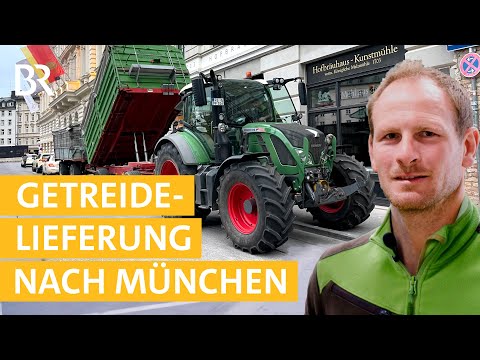 Mit dem Getreide-Anhänger nach München! #11 | Mega Baustelle: Ein Bauernhof zieht um | Unser Land