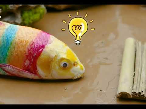Stop Motion Fish Mud Survival Battle koi Hunt Larva With Frogs Eels Crabs