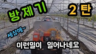 #샤인머스켓재배기술 #대형시설비가림비닐하우스 #방제약전동차전기약대과일