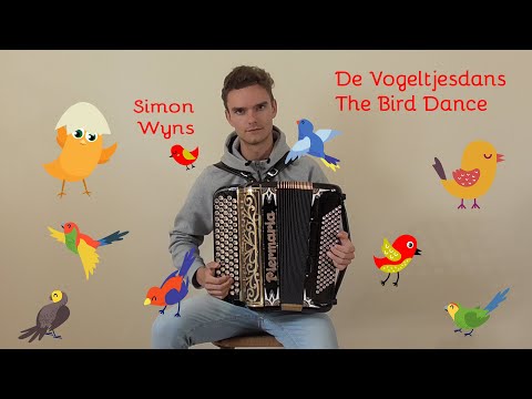 Simon Wyns - The Bird Dance/ De Vogeltjesdans (The Emeralds/ De Electronica's) [accordion cover]