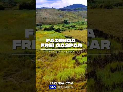 FAZENDA 546 HECTARES FREI GASPAR-MG R$ 9.6 MILHÕES