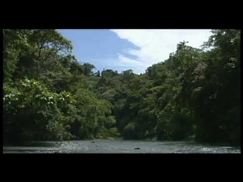 Costa Rica - Sights and Sounds of Corcov