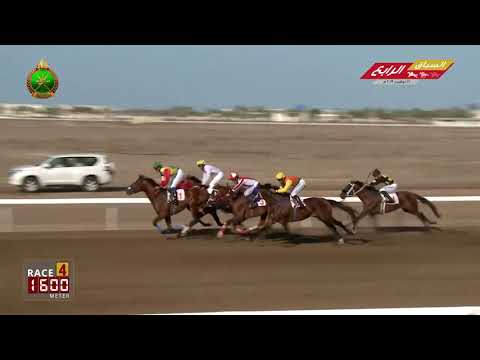 الشوط الرابع - السباق الرابع - الرحبة 16/11/2019 Race 4-4th meeting