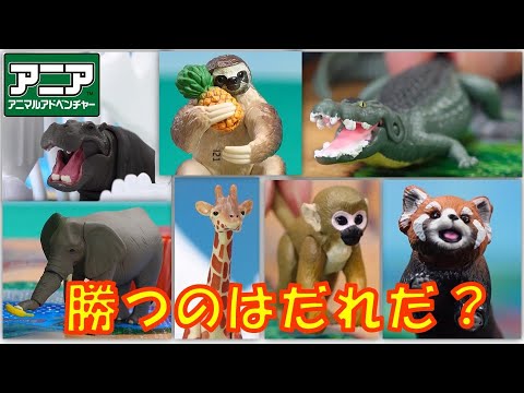 【公式】アニア おはなし『サファリ動物園のみんなで競走だ！』【タカラトミーキッズ】 どうぶつ | animal | おもちゃ | タカラトミー公式
