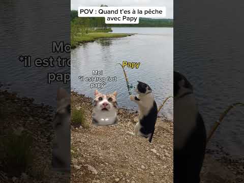 POV : Quand t’es à la pêche avec Papy #humour #catmemes #drole #pov