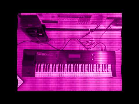Nuttkase - Roland w-30 test (The Prodigy style)