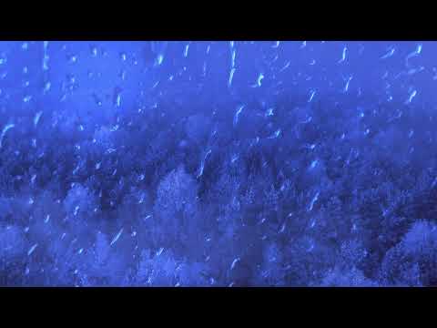 METAHESH - when my eyes are closed