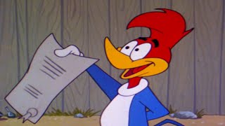 Pica-Pau | Mega Compilação Clássica Vol. 16 | Desenhos Animados Retrô Engraçados