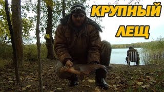 Как ловят леща на резинку