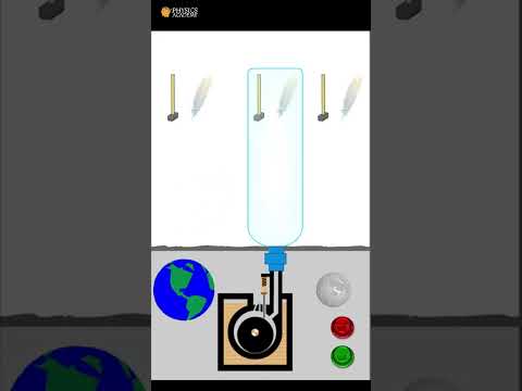 What happens to feather and hammer, which one hits the floor first? 🪐🤯🪂