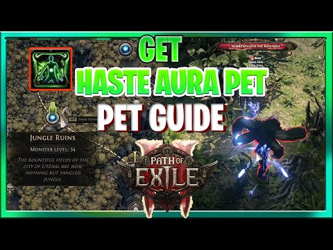 Path of Exile 2 How to Get Beast With Haste Aura Guide Quadrilla (Tame Beast)