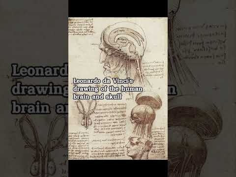 How can one be so intelligent? |Leonardo da vinci #history #art  #leonardodavinci