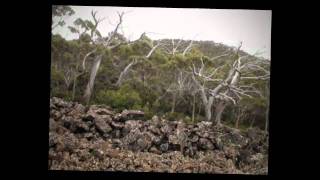 preview picture of video 'Drive to Mt Wellington, Hobart, Tasmania'