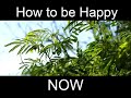 How To be A Happier Person Now