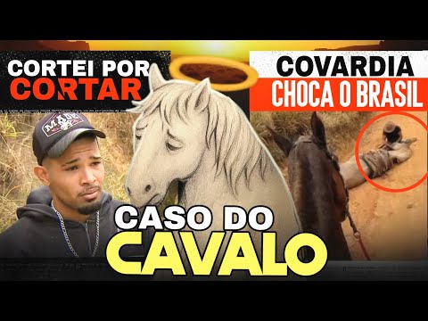 THE CASE OF THE MUTILATED HORSE EXPLAINED!