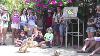 This is South East Asia:  Culture, Food, and Places - YouTube