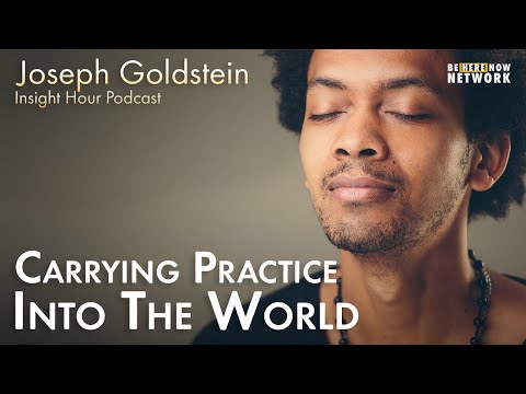 Carrying Practice into the World with Joseph Goldstein - Insight Hour Ep. 140