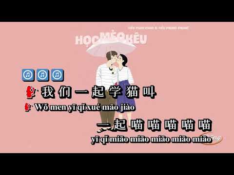 Xue miao jiao karaoke  学喵叫