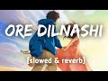 Ore Dilnashi [Slowed & reverb] Swayam padhi & Pragyan hota | Lofi Song | Ore Dilnashi Odia Lofi song