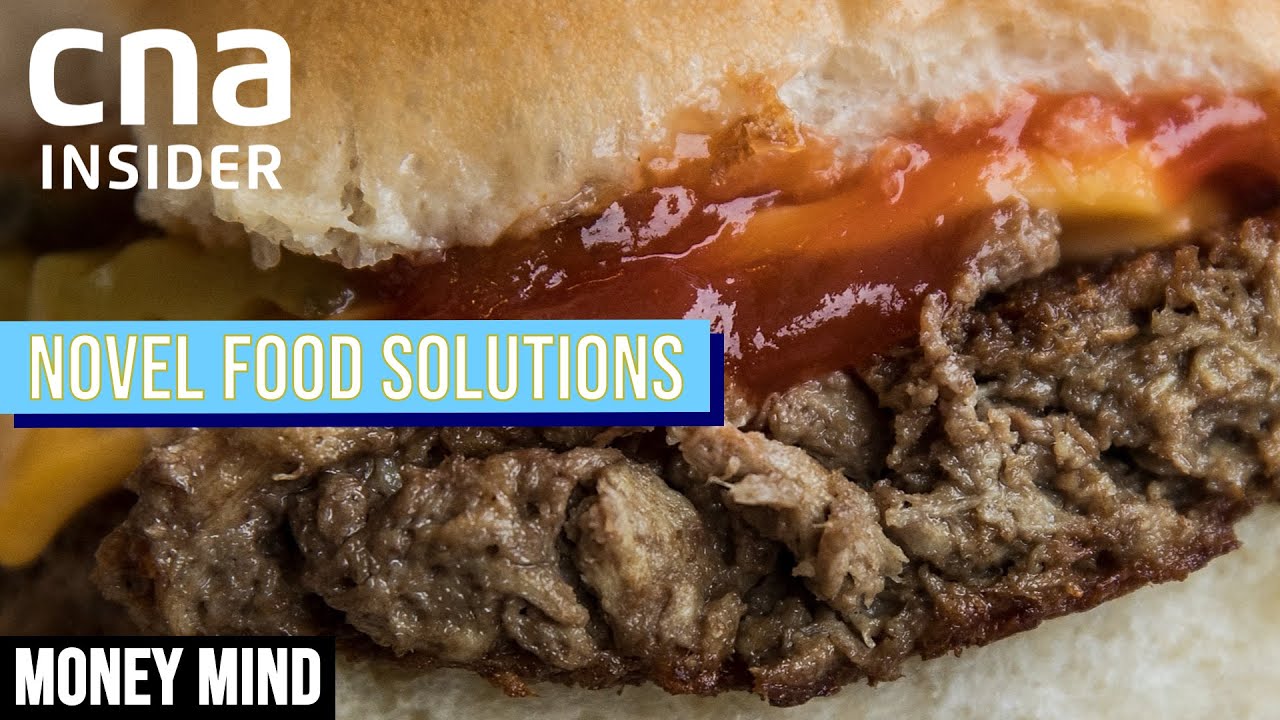 Alternative Proteins: Answer To Food Security Issue? | Money Mind | Climate Change