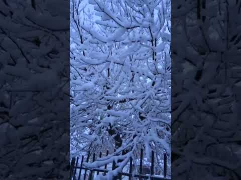 #Nieve 🌨️#Zapala Neuquén 🫶 ❄️Patagonia