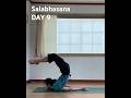 Salabhasana Locust Pose 살라바아사나 10 30 Day Yoga 요가 Yogi Salabhasana Locustpose 살라�