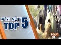 Madhya Pradesh Top 5 | October 9, 2018