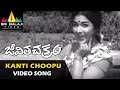 Jeevitha Chakram Songs Kanti Choopu Female Video Song NTR Vanisri Sri Balaji Video