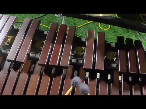 MADNESS-Center Marimba Head Cam