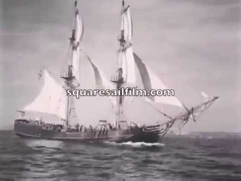 The Phoenix presented  by Square Sail Ventures