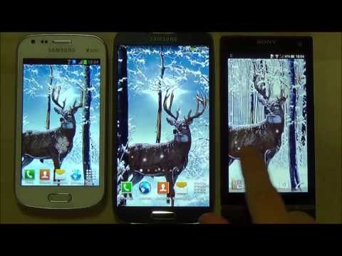 Winter Forest Live Wallpaper Video