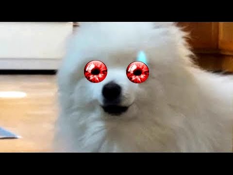 Megaborkvania   Undertale remix