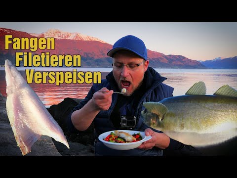 Erfolgreiches Uferangeln in Norwegen. Catch, Filet&Cook!