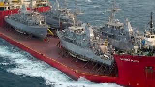 機雷イルカはフェイク!?🐬衝撃報道の裏側と情報戦の真実#機雷イルカ #フェイクニュース #中東情勢 #イラン #アメリカ軍 #ホルムズ海峡 #国際ニュース #情報戦 #ニュース解説