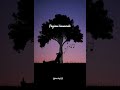 Kaariga Song Lyrics