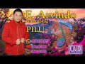 PILU - ARVINDO POP MELAYU [Official Music Video]