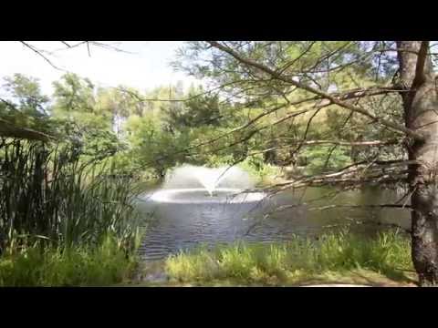 16901 Hurontario Street Caledon Village Tav Schembri