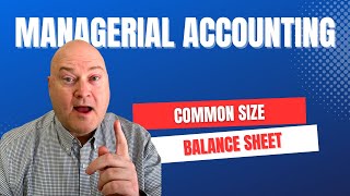 Common Size Balance Sheet Analysis in 7 Minutes