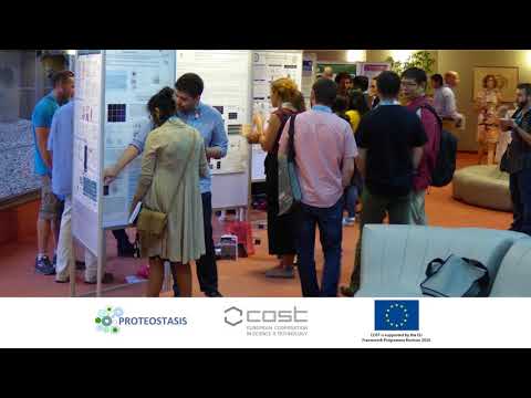 EMBO meeting "Ubiquitin and SUMO: From molecular mechanisms to system-wide responses"