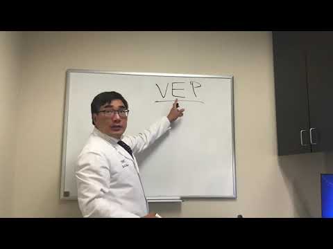 Visual Evoked Potential (VEP)