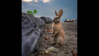 Download lagu 🔴STORY WA DJ QOUTESS 30 DETIK TERBARU 2021 | STATUS WA KEREN KEKINIAN | 🎶 DJ mp3 Download lagu 🔴STORY WA DJ QOUTESS 30 DETIK TERBARU 2021 | STATUS WA KEREN KEKINIAN | 🎶 DJ mp3