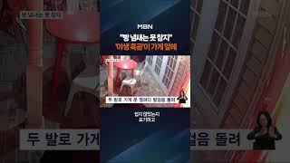 빵 냄새 맡고 찾아온 야생 흑곰 #shorts #숏톡