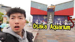I Went to Japan's BIGGEST Aquarium in Osaka!