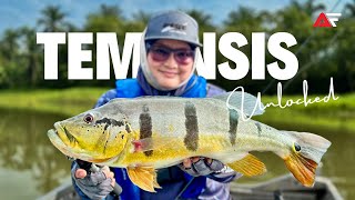 Download lagu Lady Angler VS Ariff Fishing | Misi Lesen Temensis mp3