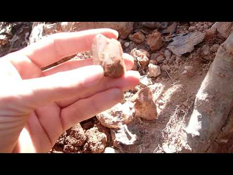 Crystal collecting at Crystal Vista